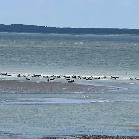 Caprices De Avec Grand Balcon Et Vue A 300 M Plage, Apercu Mer, Lit Queen Size, Les Bains Le Treport , Petit Dejeuner En Option, 2 Velos Fournis Apartament *